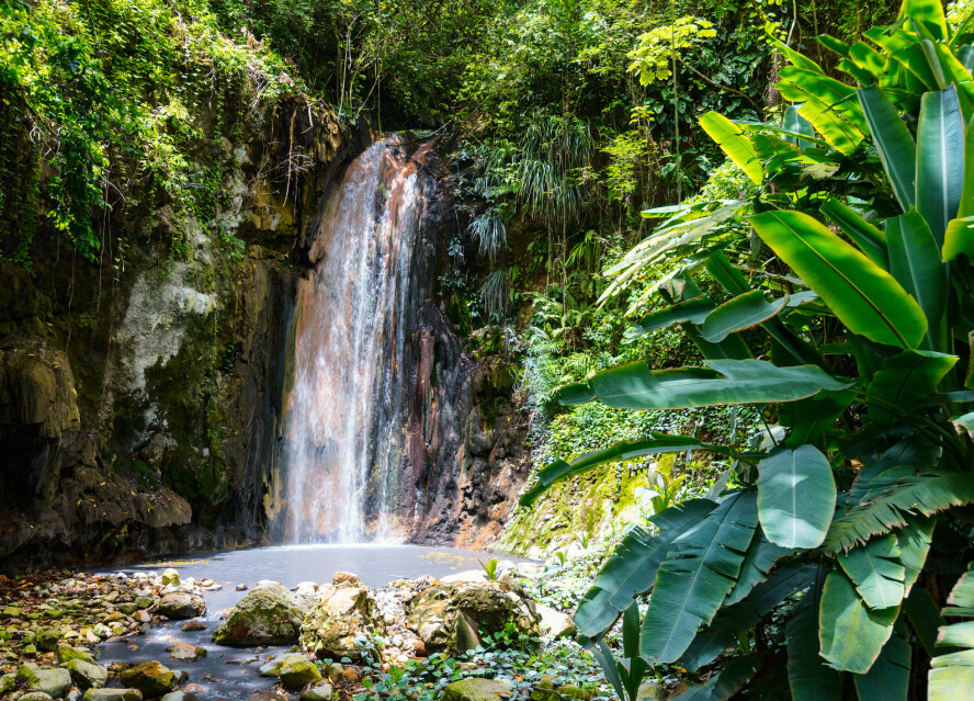pics-copy-5 St. Lucia